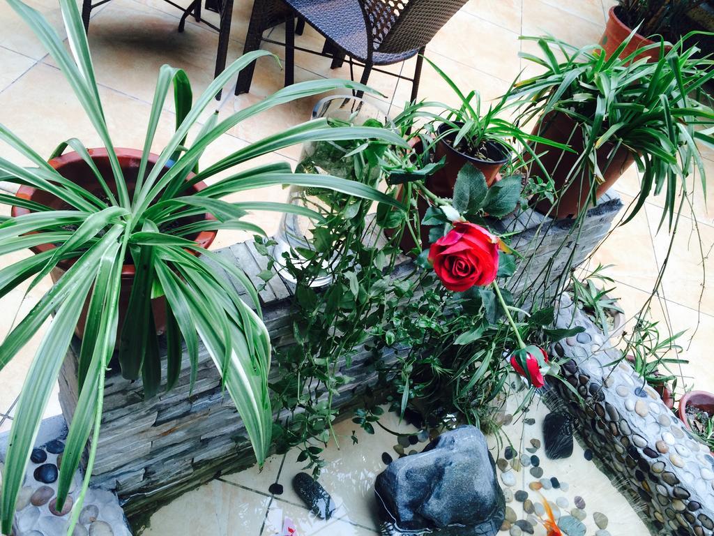 Xi'An Rainbow Youth Hotel Ngoại thất bức ảnh