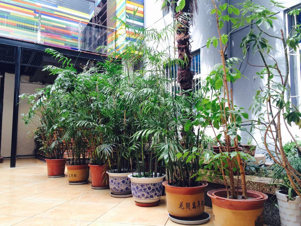 Xi'An Rainbow Youth Hotel Ngoại thất bức ảnh